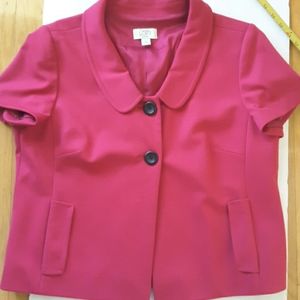Ann Taylor Loft Jacket Blouse Sz 16P